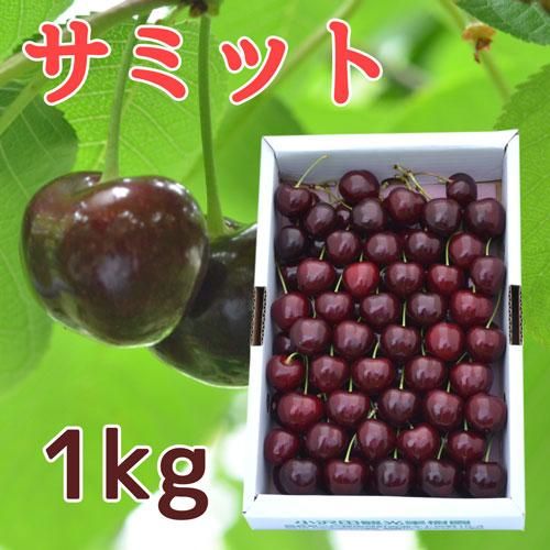 小沢田観光果樹園 [手詰]さくらんぼサミット3L1kg