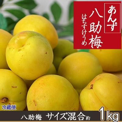 冷蔵)八助梅サイズ混合1kg※7月上旬から出荷予定 - 【りんご通販小沢田