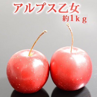 アルプス乙女約1kg - 青森りんご、さくらんぼ通販小沢田観光果樹園