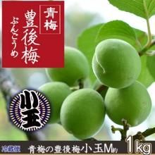 小沢田観光果樹園の青梅、青森の青ウメ「豊後梅」 冷蔵便にて7