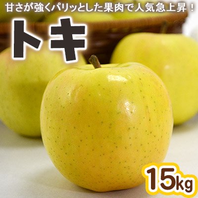 青森りんごトキ約15kg（48-60個入）