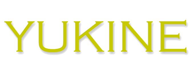 YUKINE online shop