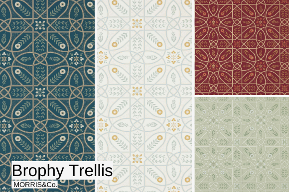 MORRIS&Co. ɻ<br>Brophy Trellis<br>WM-Brophy Trellis