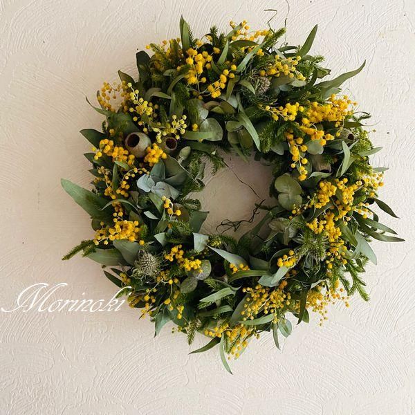 ドライフラワー リース ミモザ パールアカシアとユーカリ