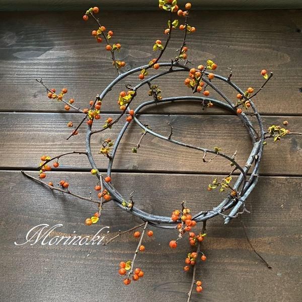 ツルウメモドキリース（小） - ナチュラルリース森の木