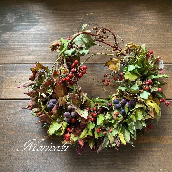 ＊Natural＊野薔薇の実とホワイトリース＊ドライフラワーリース Natural＊野薔薇の実とホワイトリース＊ドライフラワーリース