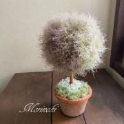 【特価】ススキ フライングリース 5L ・スモークツリー枝付き45cm 【28】 特価】ススキ フライングリース 5L ・スモークツリー枝付き45cm