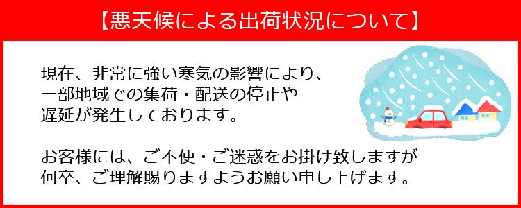 サイ/SAI AZK10 純正 前期 左 ヘッドライト/ランプ キセノン HID レベライザー AFS無 刻印74 KOITO 75-4 トヨタ (126400)