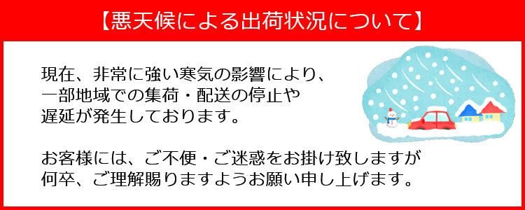 ホイール - 株式会社エコパーツ