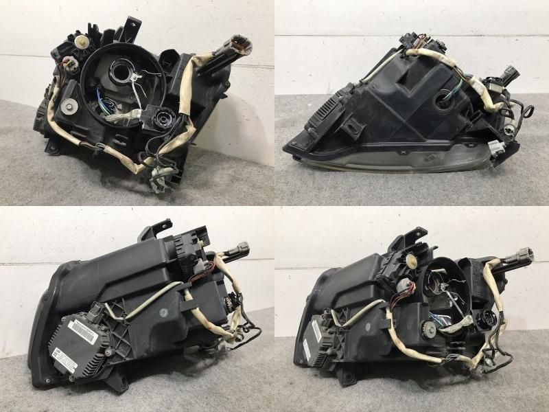 ステージア M35/NM35/PM35/PNM35 後期 右ヘッドライト/ランプ キセノン