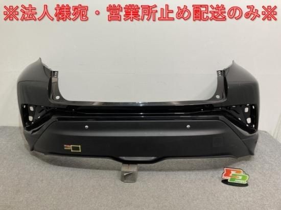 XP/XR/XS Ski-doo Carbon Fiber Bumper Black Supports (120
