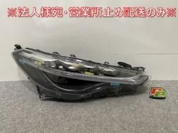 !  ZSG10/MXGA10 ϥ֥å/ZVG11/ZVG15/ZVG13/  إåɥ饤 LED Z 16-177 81110-16810(143170)