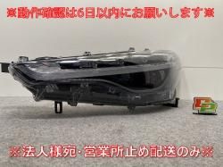   Z/ZSG10/MXGA10 ϥ֥å/ZVG11/ZVG15/ZVG13/ZVG16   إåɥ饤/ LED ٥饤 Z 16-177(143508)