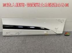  170/NSP170G/NCP175G ϥ֥å/NHP170G   ե ɥ ɥѥͥ ۥ磻ȥѡ륯ꥹ륷㥤 070 ȥ西(144658)