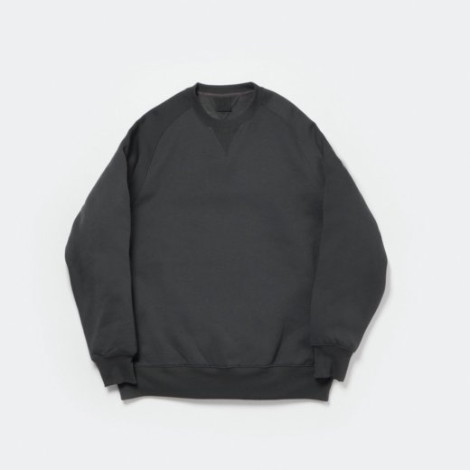 <img class='new_mark_img1' src='https://img.shop-pro.jp/img/new/icons1.gif' style='border:none;display:inline;margin:0px;padding:0px;width:auto;' />TECH SWEAT CREW FREEDOM SLEEVE