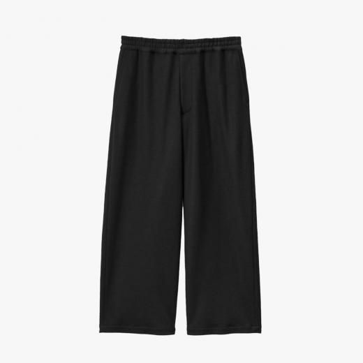 <img class='new_mark_img1' src='https://img.shop-pro.jp/img/new/icons1.gif' style='border:none;display:inline;margin:0px;padding:0px;width:auto;' />WOOL SMOOTH FLANNEL EASY WIDE PANTS