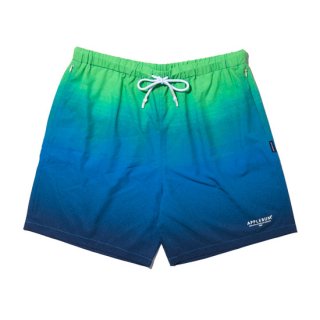 APPLEBUM/"Malibu" Board Shorts