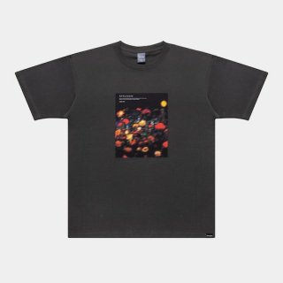 APPLEBUM/"UTOPIA" PHOTO T-SHIRT(6.2OZ)