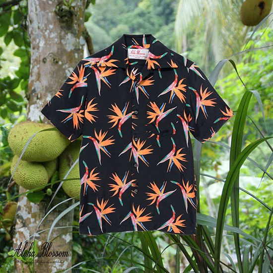 Aloha Blossom / アロハブロッサム Birds Of Paradise 通販 Treasure