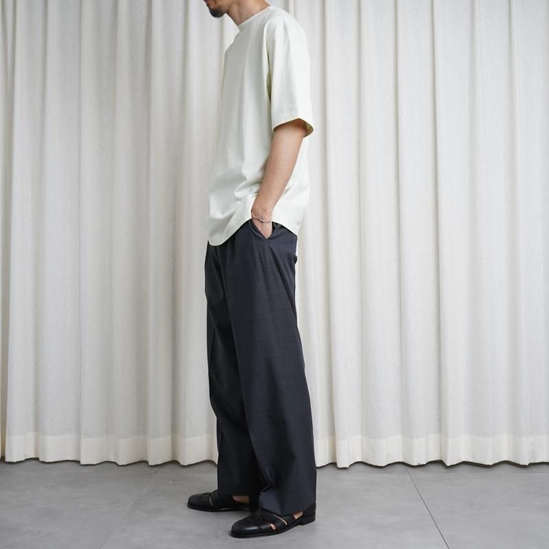 25S/SۡAURALEE ꡼LUSTER PLATING BOAT NECK TEE / IVORY PISTACHIO