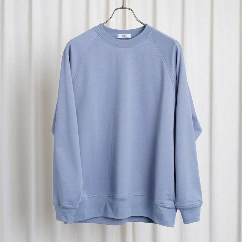 25S/SۡCale   36G COTTON ΢ L/S PULLOVER / BLUE GRAY
