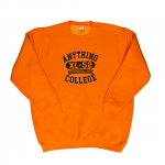 ANYTHING GOODIES <br>″ ANYTHING COLLEGE SWEAT ″ <br>(ORANGE  BLACK) <img class='new_mark_img2' src='https://img.shop-pro.jp/img/new/icons6.gif' style='border:none;display:inline;margin:0px;padding:0px;width:auto;' />
