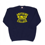 ANYTHING GOODIES <br>″ ANYTHING COLLEGE SWEAT ″ <br>(NAVY × YELLOW) <img class='new_mark_img2' src='https://img.shop-pro.jp/img/new/icons6.gif' style='border:none;display:inline;margin:0px;padding:0px;width:auto;' />