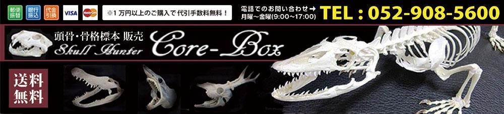 ƬɸܡCORE-BOX