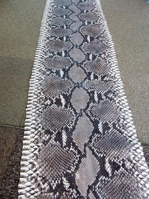 ☆即納!特大サイズ! 484cm!ニシキヘビ Python ヘッドスキン ...