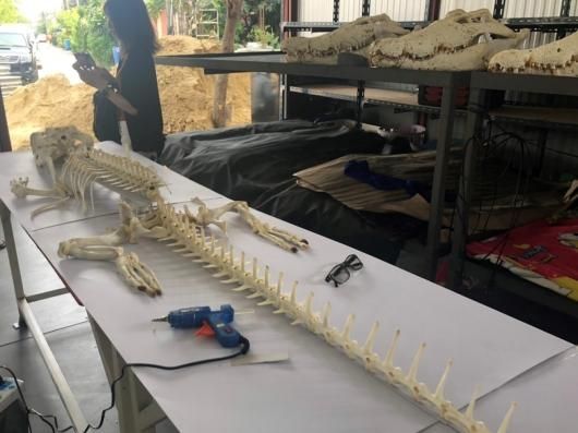 ☆即納☆ 大迫力！ 3M イリエワニ（Salt-water crocodile）全身