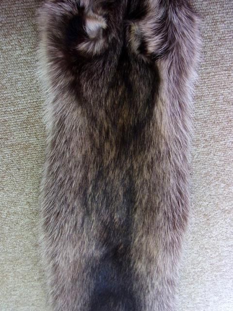☆即納☆ アライグマ（ラクーン）の毛皮 - 頭骨・骨格標本・剥製販売