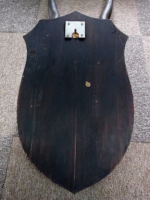 ☆即納☆ 迫力！ジャイアントイランド スカルホーン（台座付