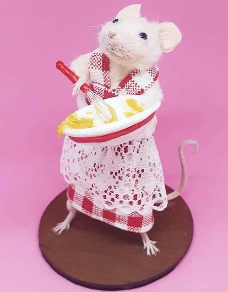 料理をするネズミ 剥製 - 頭骨・骨格標本・剥製販売 【Core-Box】