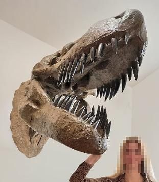 ☆高品質！ティラノサウルス 頭骨 レプリカ ※壁掛け - 頭骨