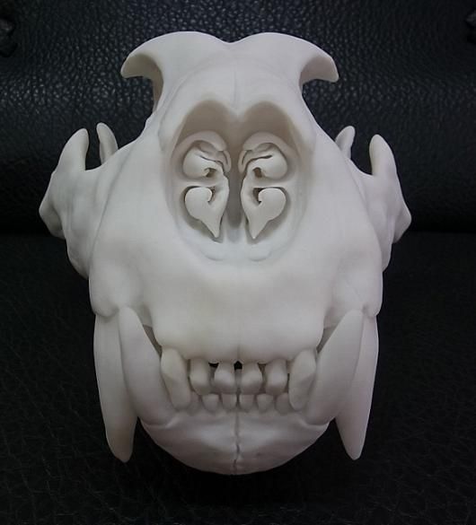 アフリカ便！高品質　ボリビアリスザル 頭骨 即納☆アフリカ便！高品質 ボリビアリスザル（Black-capped Squirrel