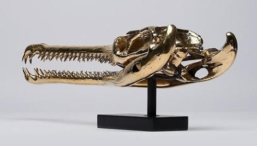 ☆高品質！インドガビアルの頭骨 レプリカ（ブロンズ製） - 頭骨・骨格