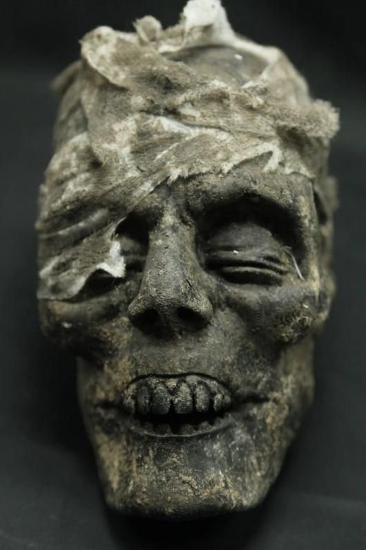 エジプトのミイラの頭部 - 頭骨・骨格標本・剥製販売 【Core-Box】