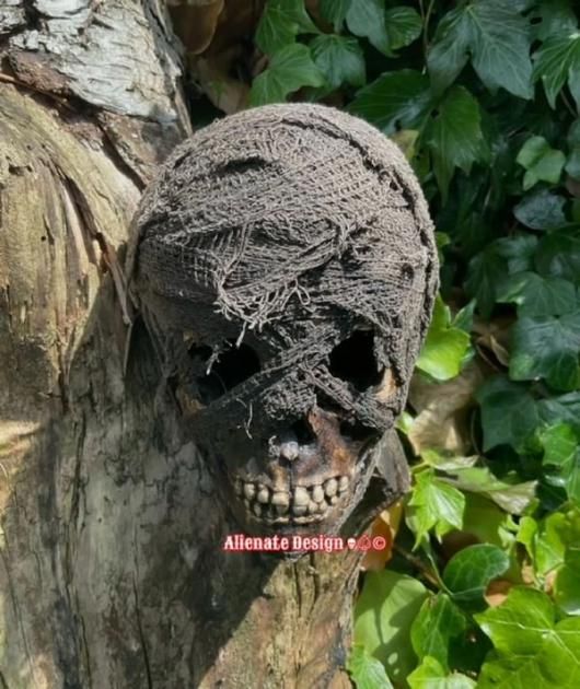 ミイラ化したエジプト子供の頭蓋骨のレプリカ（幼児サイズ） - 頭骨