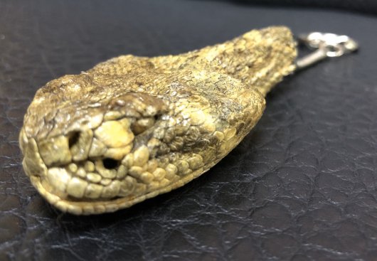 ガラガラヘビ ヘッドキーリング No.1 - 頭骨・骨格標本・剥製販売