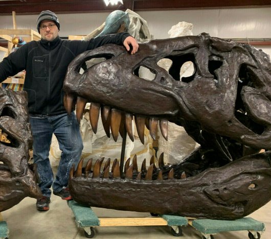 恐竜】ティラノサウルス 化石 骨 本物 アメリカ産 21.74mm tb28 - その他