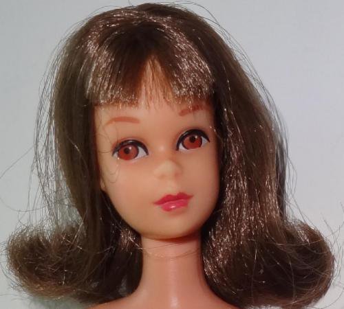 （1966）ブルネットS / Lフランシー - VG + / EX - バービー人形の通販・販売なら【ピーチェリノ】