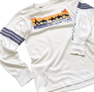 80-90's VINTAGE L/S T-shirt "Death Valley"