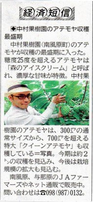 琉球新報で紹介された中村果樹園のアテモヤ