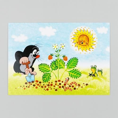 ポストカード〈イチゴ / シャベル〉 ポストカード〈イチゴ / シャベル〉