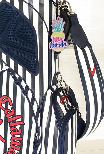 ネームプレート パイナップルっ Kagatte