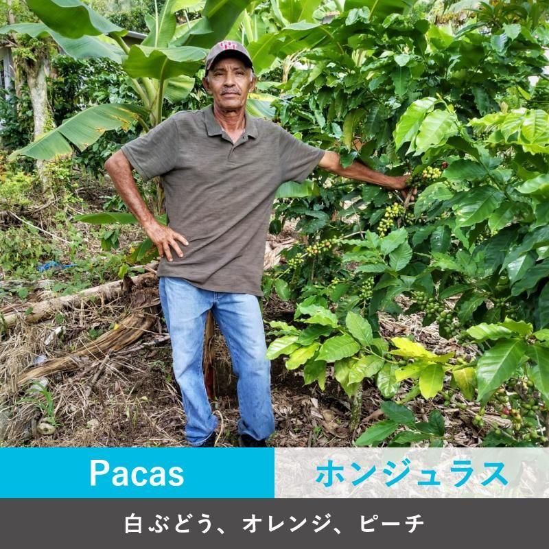 ۥ󥸥饹 ץ⥹<img class='new_mark_img2' src='https://img.shop-pro.jp/img/new/icons5.gif' style='border:none;display:inline;margin:0px;padding:0px;width:auto;' />