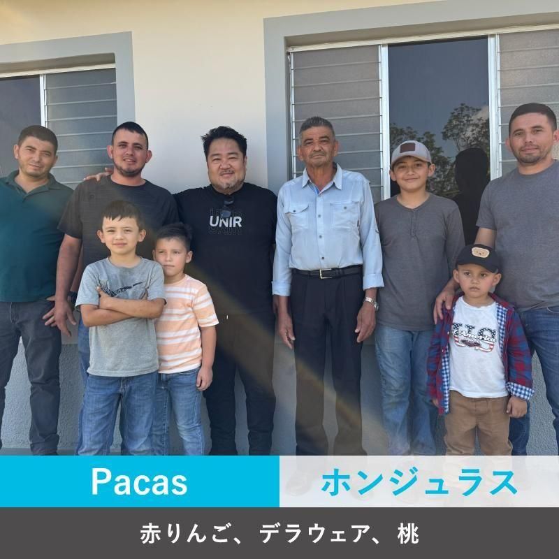 ۥ󥸥饹 åĥ쥹 ϥˡ<img class='new_mark_img2' src='https://img.shop-pro.jp/img/new/icons5.gif' style='border:none;display:inline;margin:0px;padding:0px;width:auto;' />