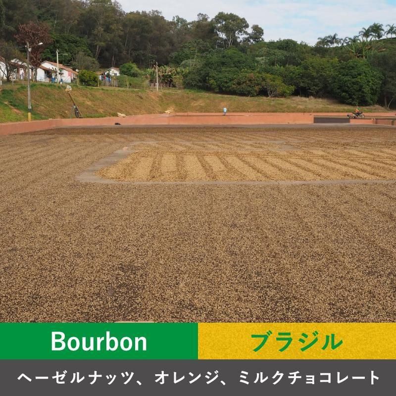 ブラジル パッセイオ パルプト