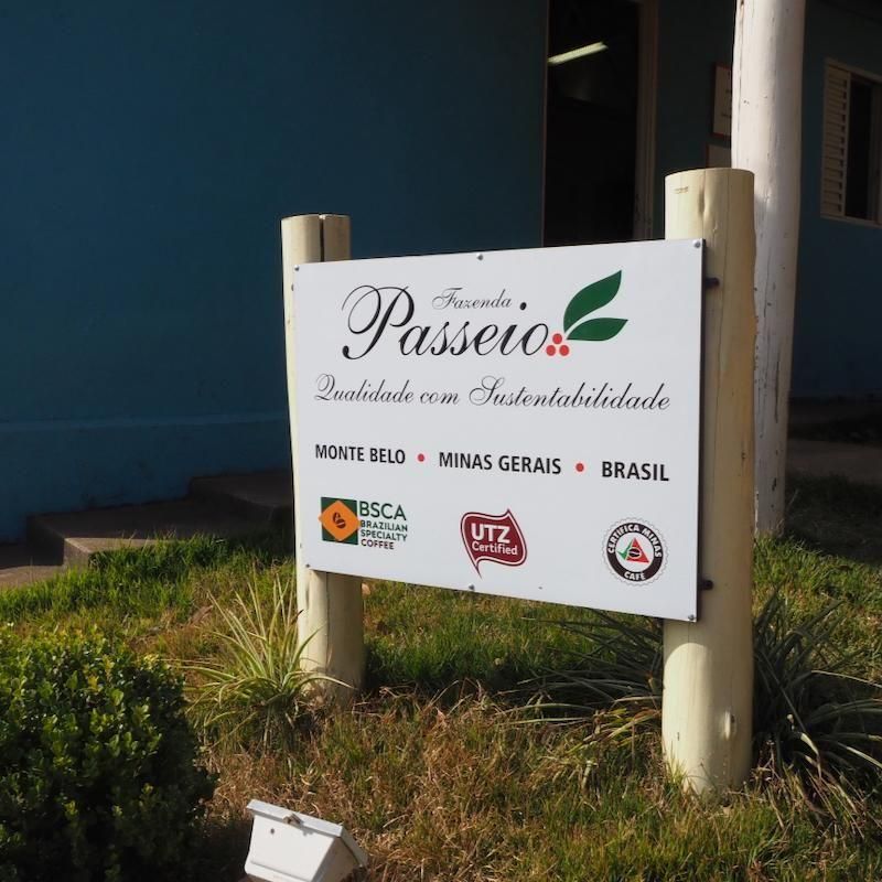 ブラジル パッセイオ パルプト