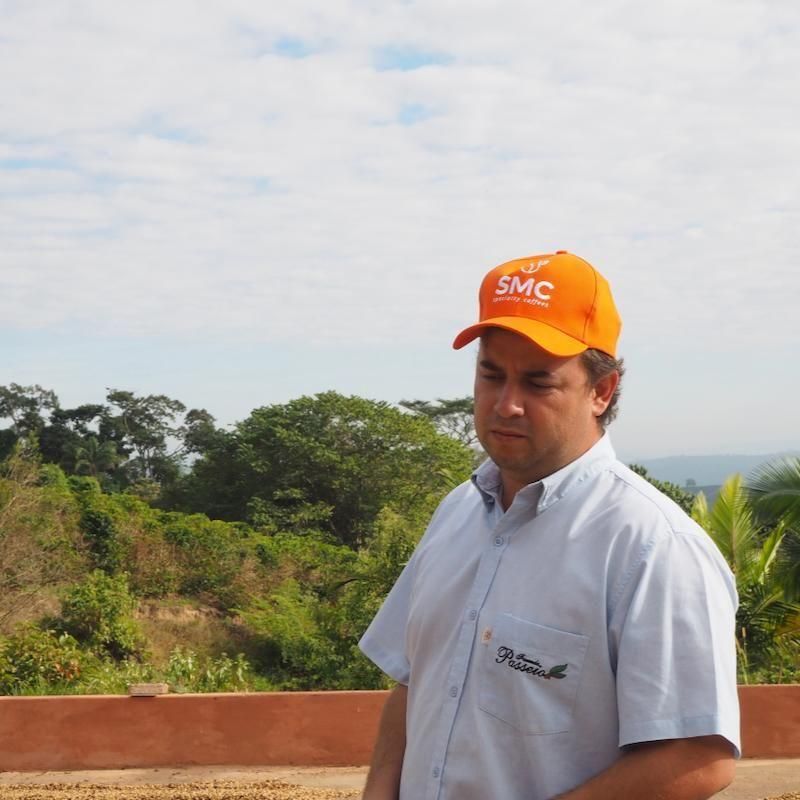 ブラジル パッセイオ パルプト